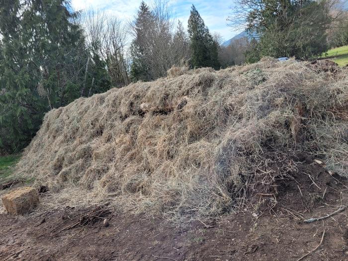 Stemmy hay mulch