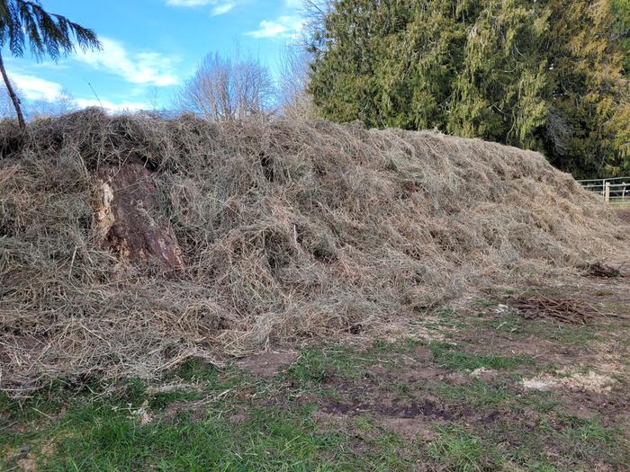 More stemmy hay mulch