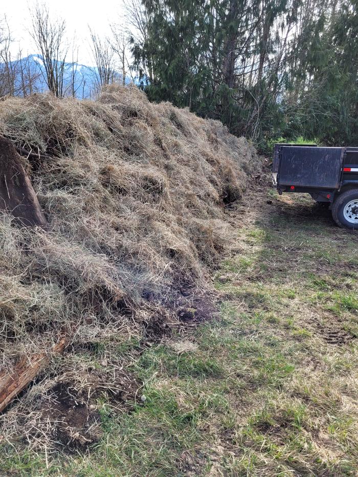 SStemmy hay mulch on other side.