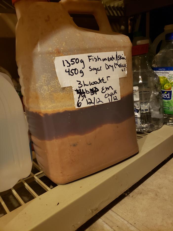 fermented fish