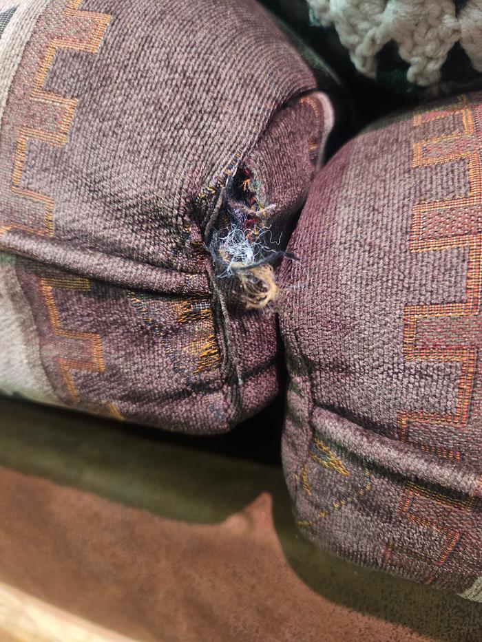 Hole with stuffng leaking out