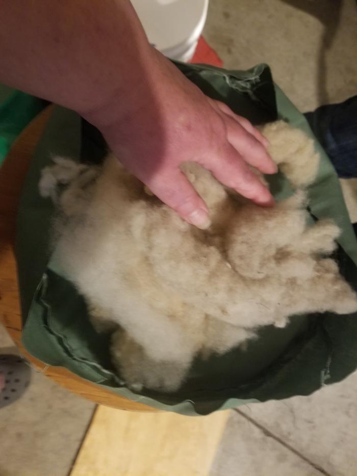 stuffing with wool 