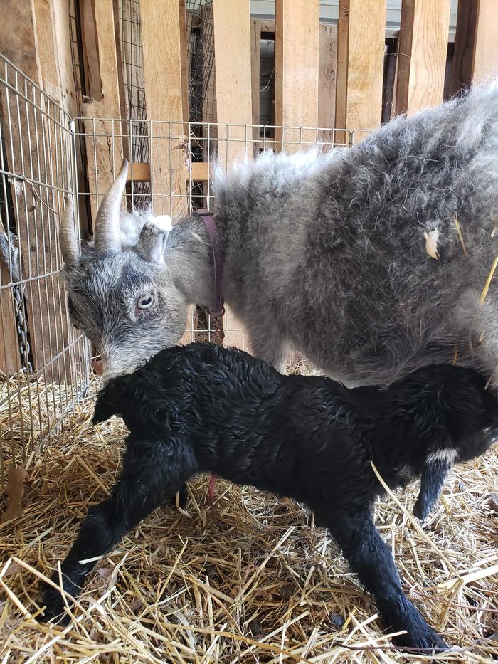 It's a boy!