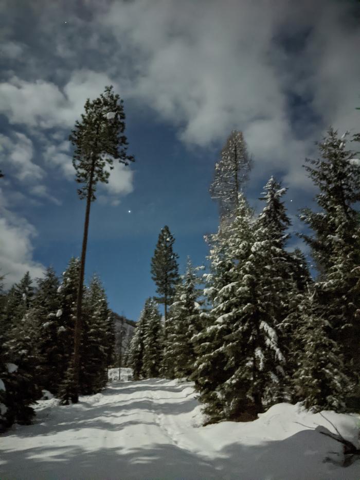 And now for some moonlit winter scenery! 