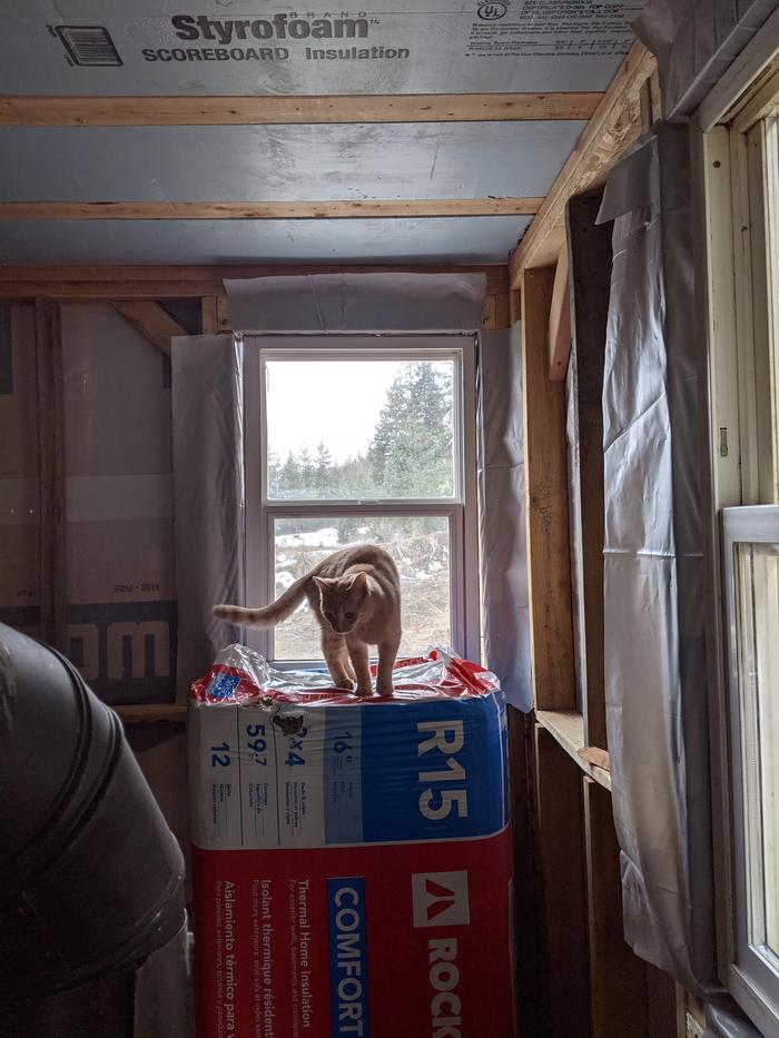 QC Inspector Sandmin approved of the window installation. Whew. 