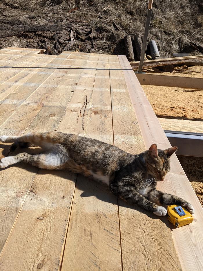 Lyra approves of our measurements