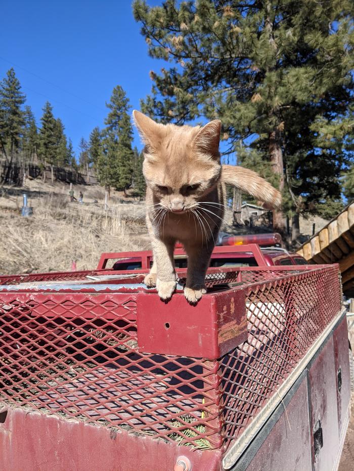 Handsome guy peeked over to say hi