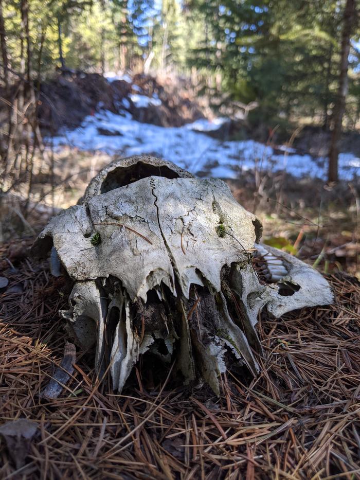 I like the moss growing in all the crevices