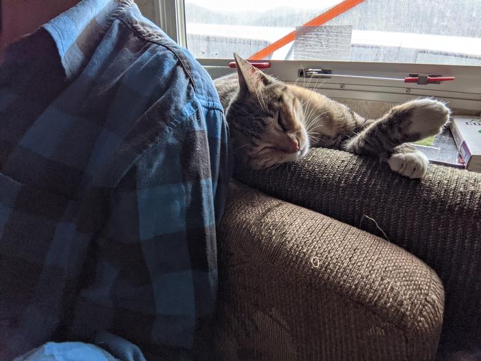Life is SO HARD