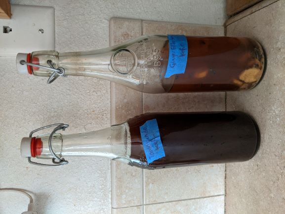 Tamarindo and Elderberry/Ginger/Lemon water kefir