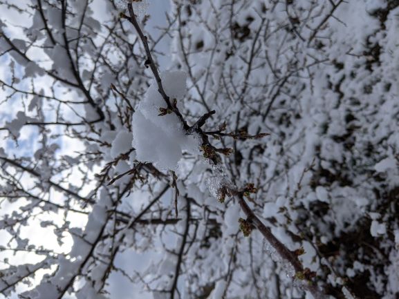 Lookin' chilly there, bud.