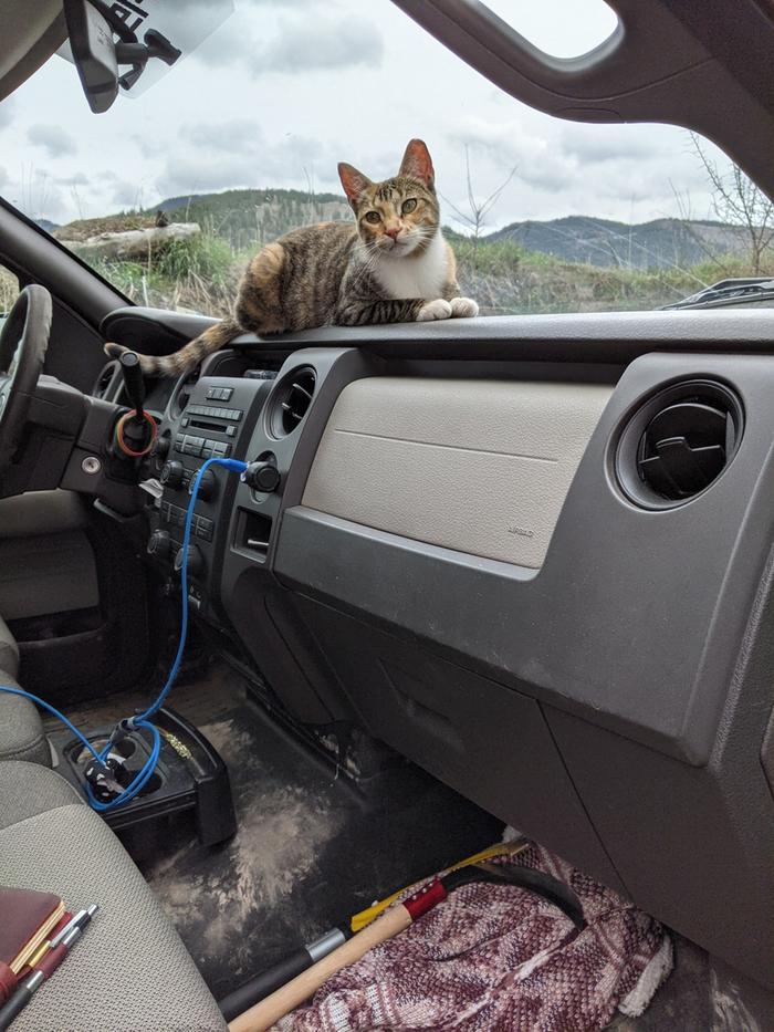 Lyra thought she wanted to come along. Just wanted to watch me put things in the truck. 