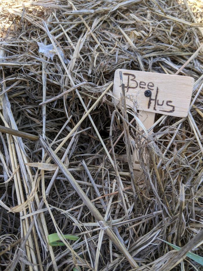 Made a sign for my resident bumblebee on the patch