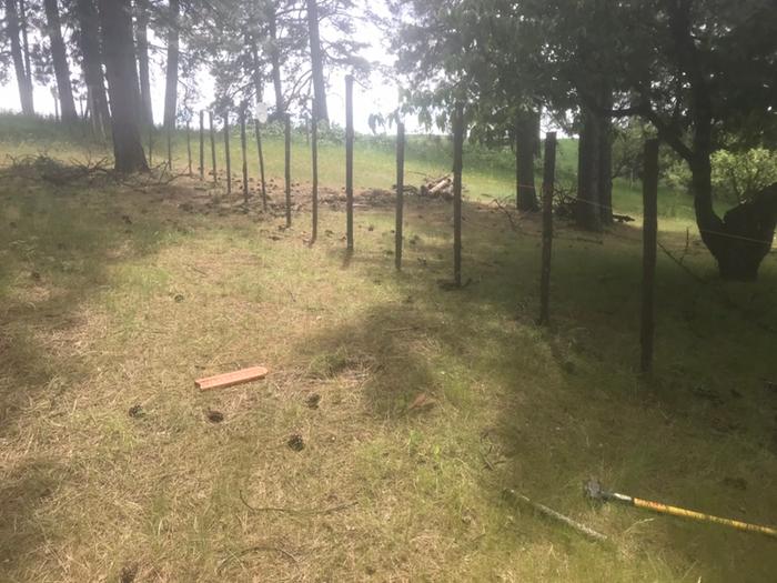 Posts in ground