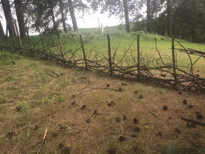 wattle in between the posts