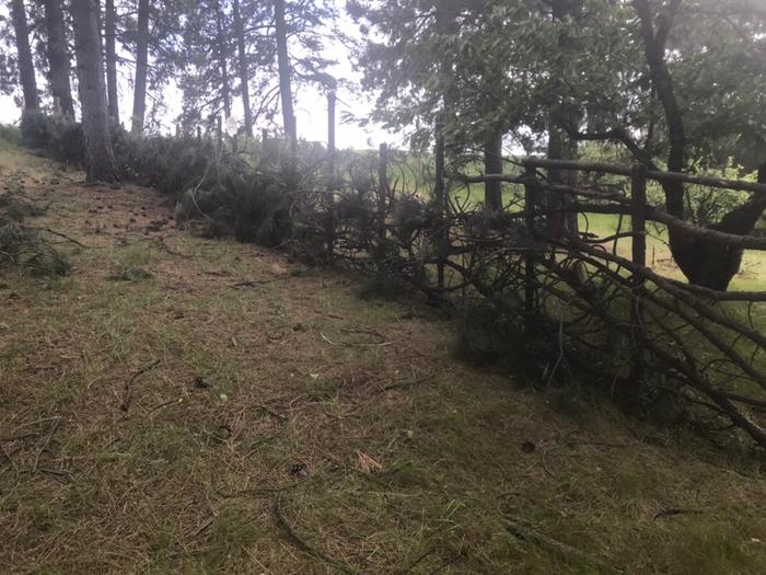 wattle and post fence