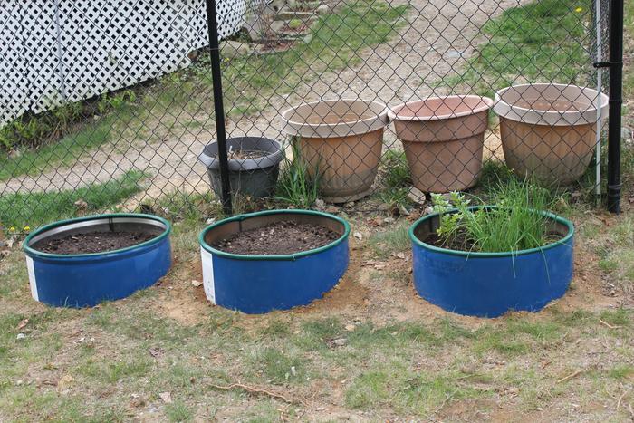 metal barrels planters