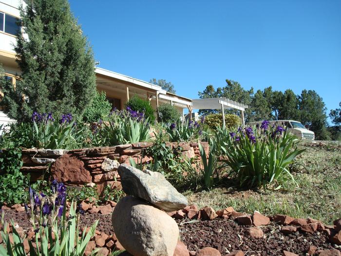 Blooming in March