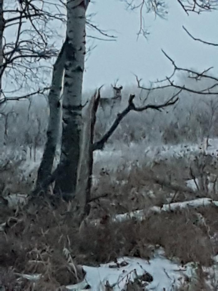 Small spike hiding behind me.