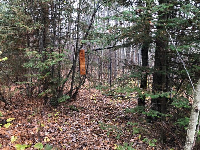 I took out a little tree that was awkward to step over and hung the sign. 