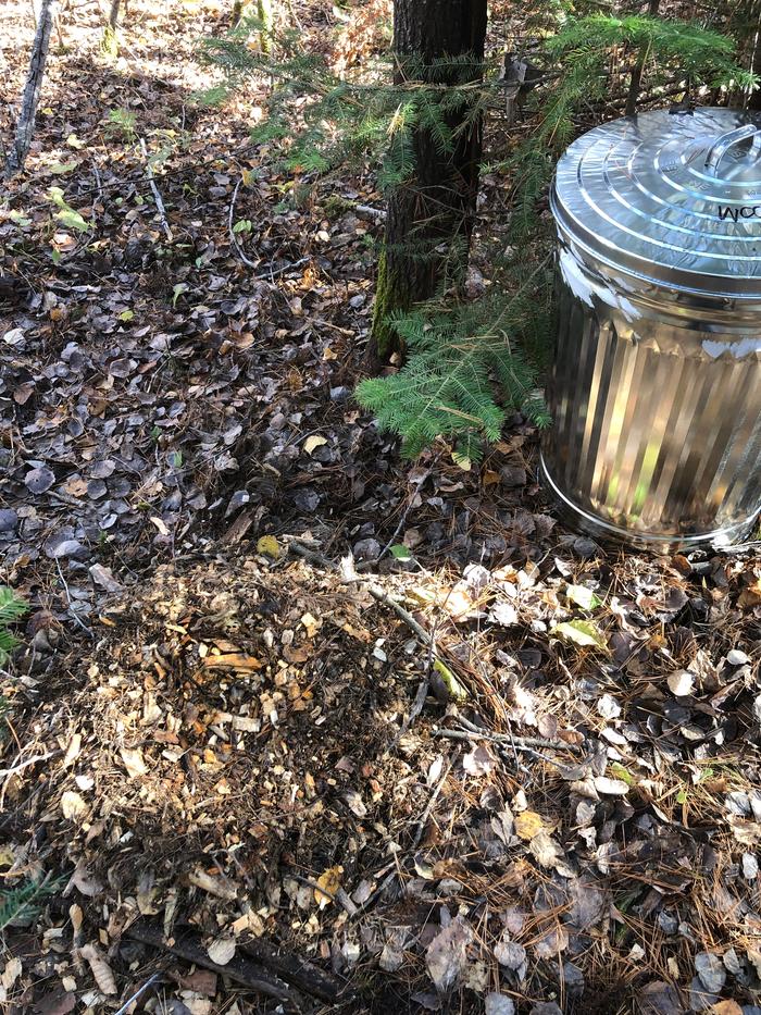 The pile of chips is two feet from an aspen on this side. 