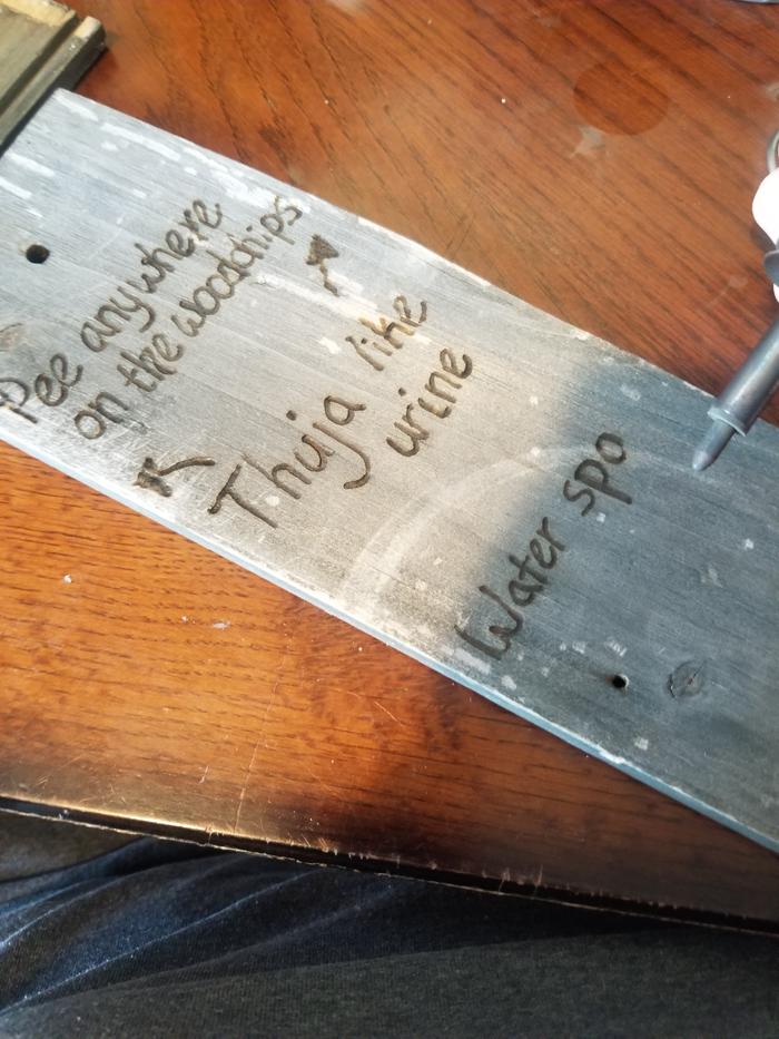 woodburning the signs