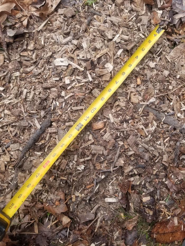 woodchips more thsn 18" across 