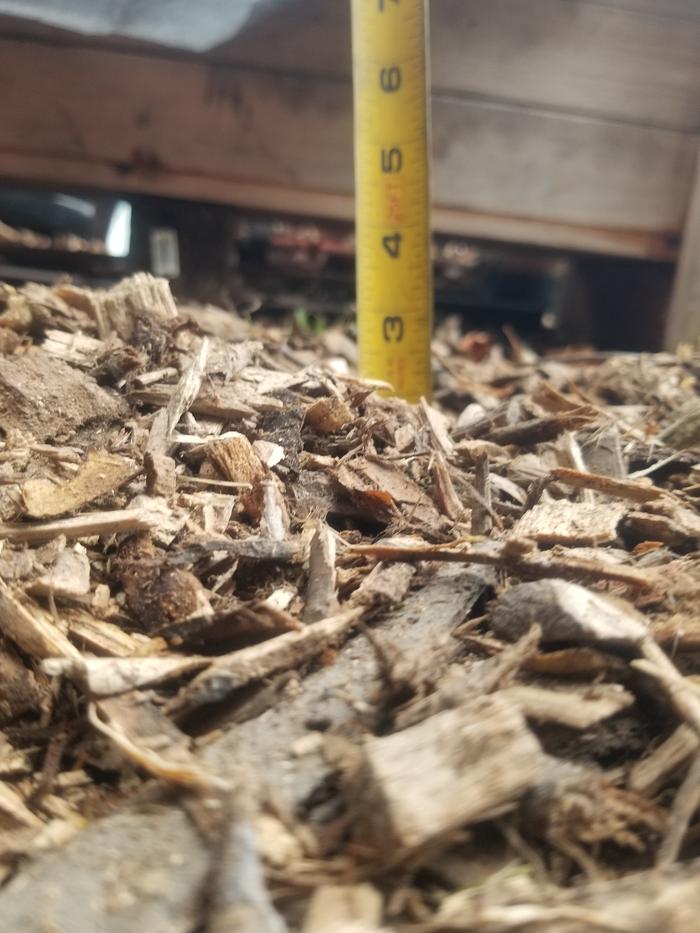 woodchips more than 2" deep