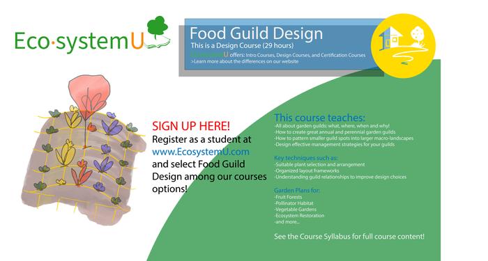 [Thumbnail for EcosystemU_FoodGuildDesign.png]