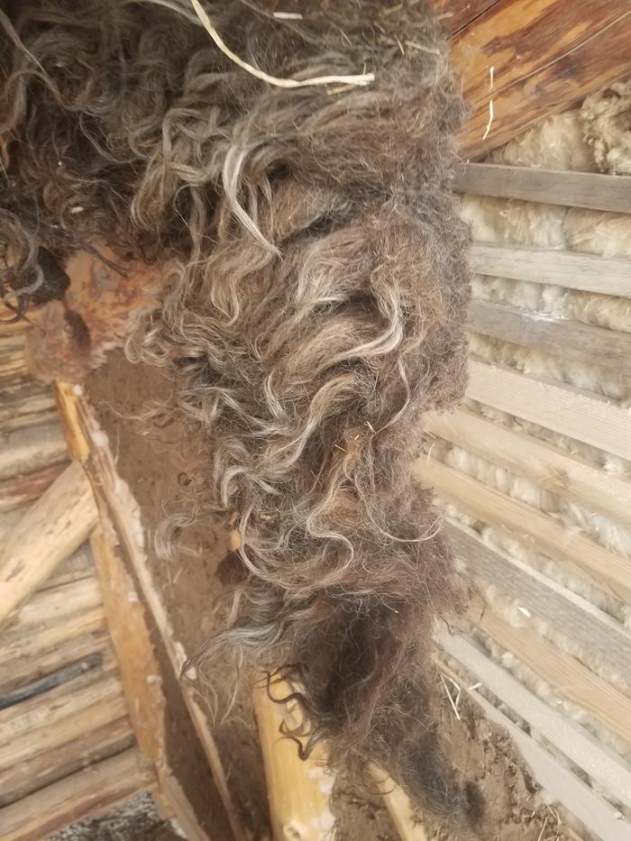 This wool was sheared off in almost full coats. This one was hard to tear