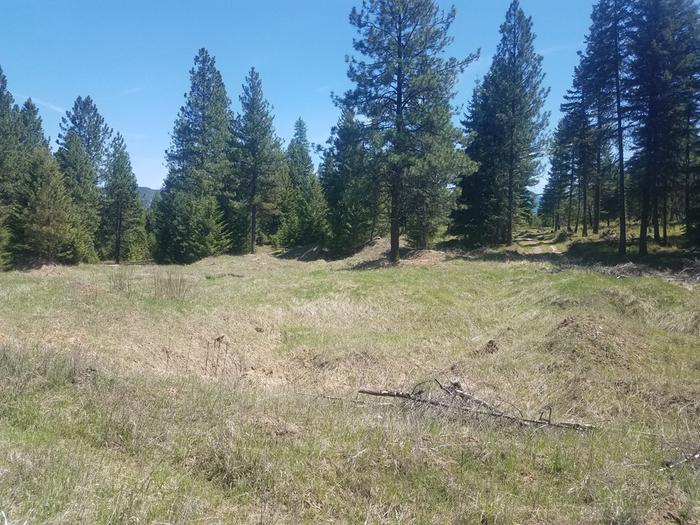 Foreground is lower and slopes to the left. Already has a temporary pond