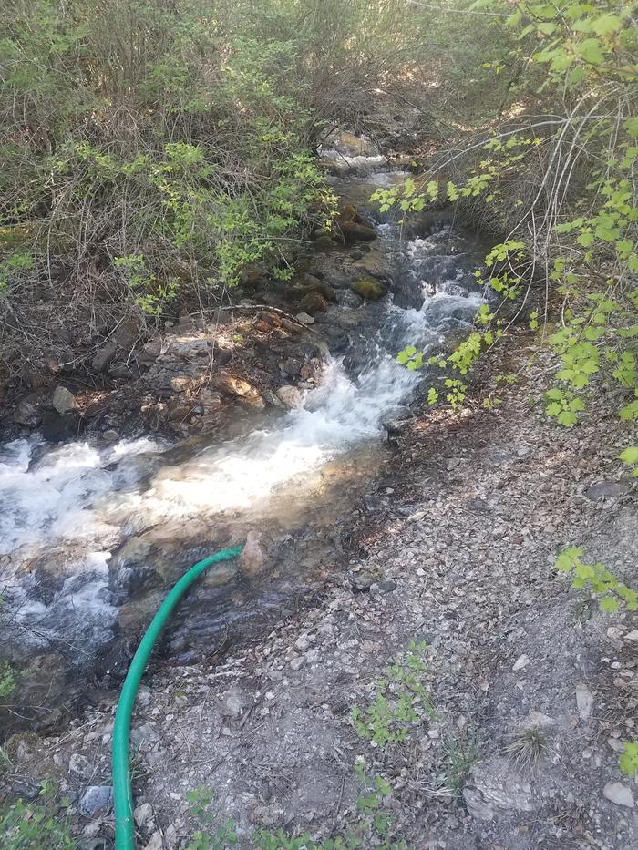 Josiah says this is the highest the creek will be. Makes me want to sit in it.