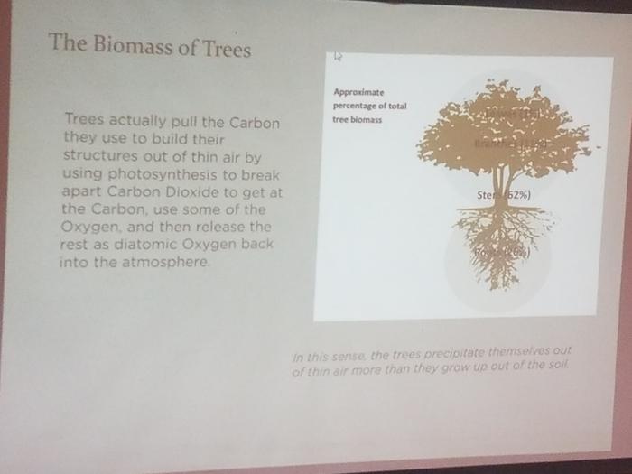 Trees are a centuries long carbon explosion. They literally pull nearly all the carbon they need out of the air not from the soil.