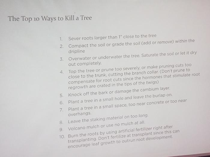 This is really good advice. Nearly every public tree you see breaks these rules.