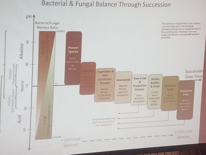 A very cool graph, fungi and bacteria influence the ph of the soil by producing different compounds. 