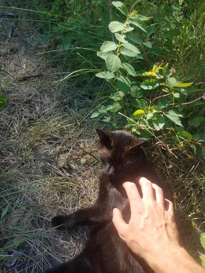 Bella belly rubs, a rare occurrence.