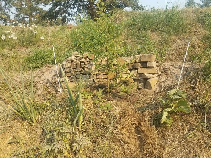 dry stack fruit wall