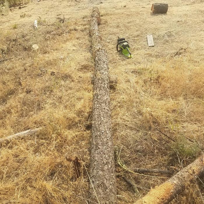 Cut this one down with hand tools