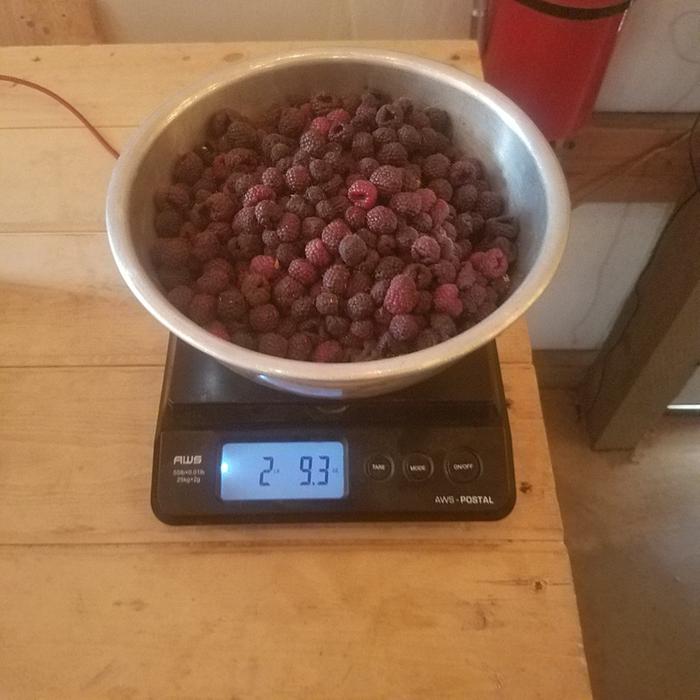 The bowl counts as 4.4oz. 