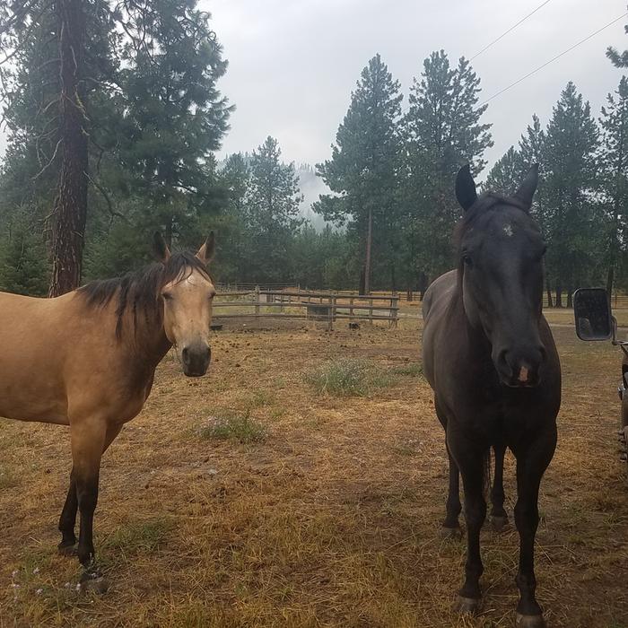 As soon as we pulled in they came over and introduced themselves.