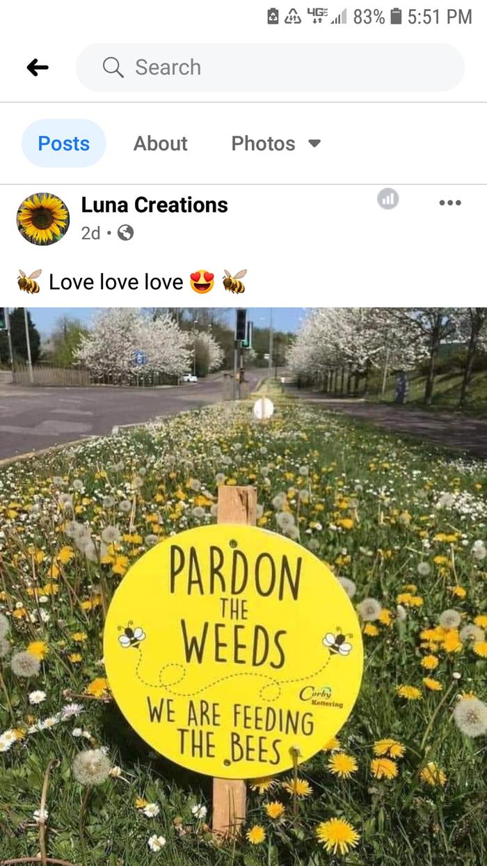 Feeding the bees