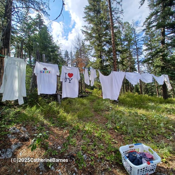 [Thumbnail for BB-Get-Whiter-on-clothesline-drying.jpg]