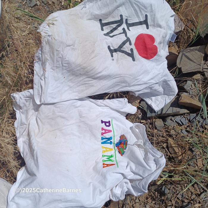 [Thumbnail for BB-Get-Whiter-Whites-Tshirts-with-stains-before.jpg]