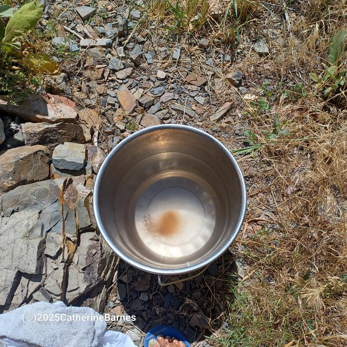 [Thumbnail for BB-Get-Whiter-Whites-bucket-with-hot-citric-acid-and-salt.jpg]
