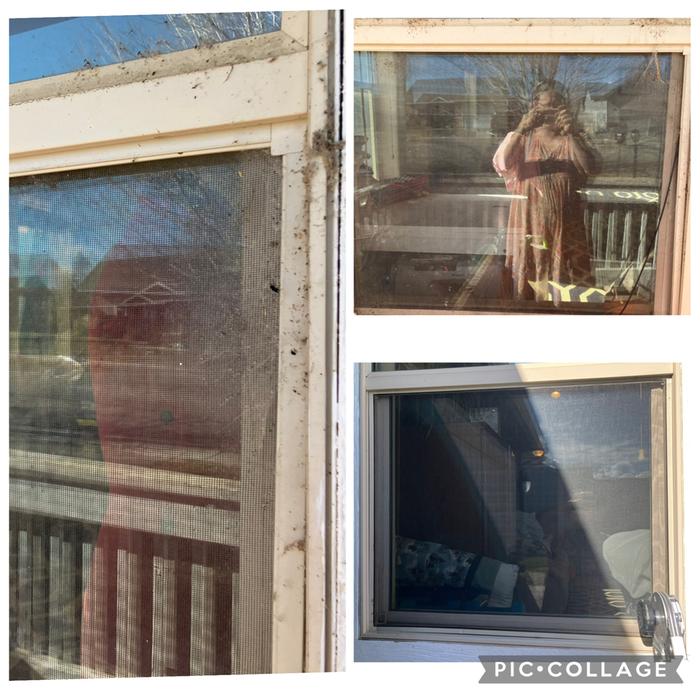 Before. 2 of them were pretty gross, the third wasn’t so bad, but it was dusty.