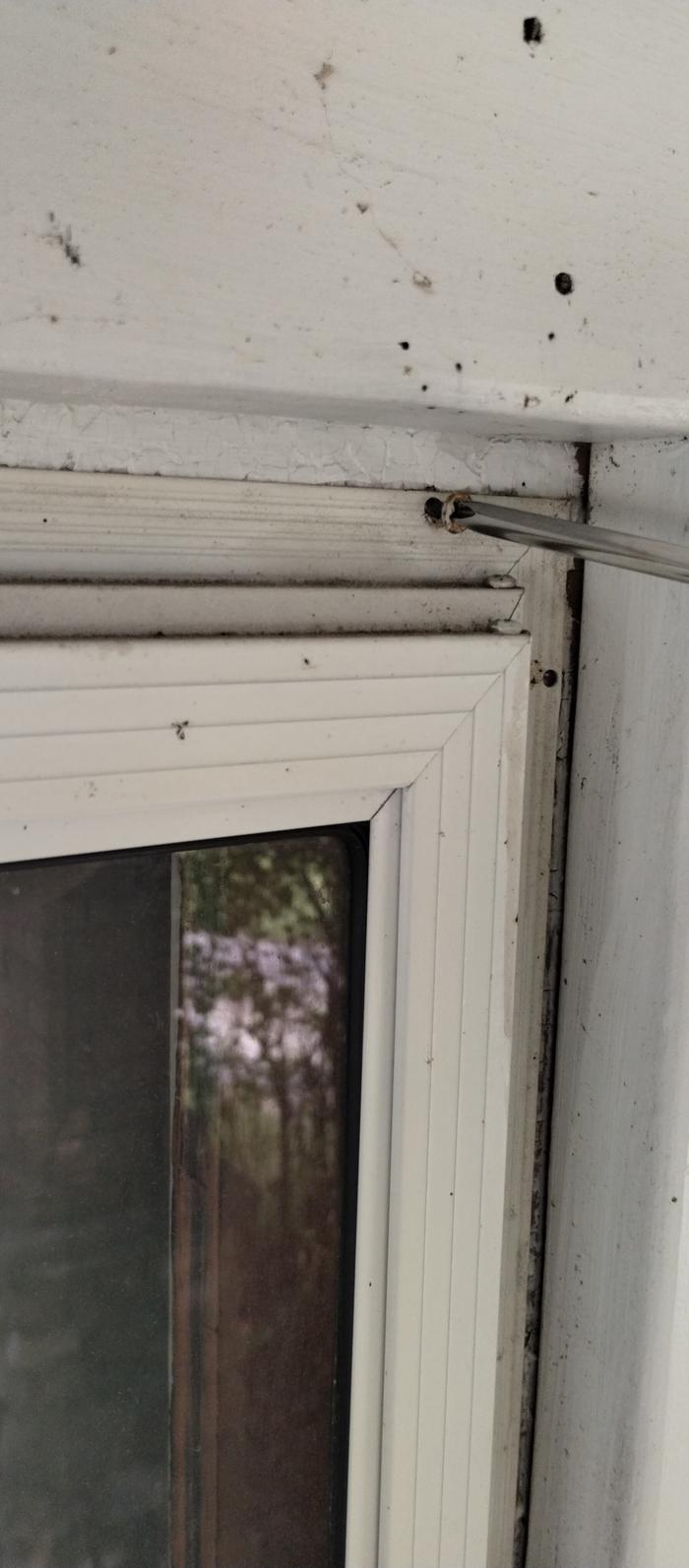 removing storm windows