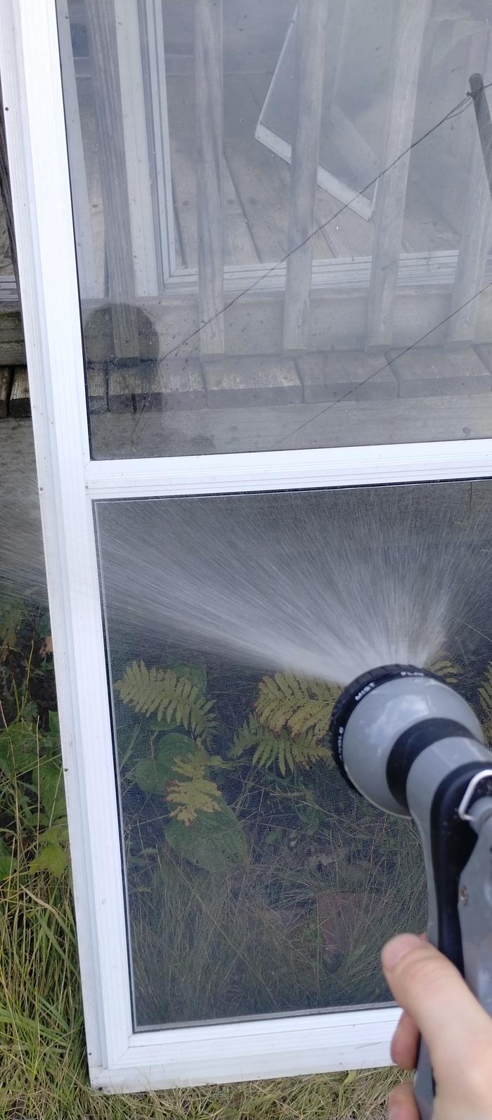 washing window screen