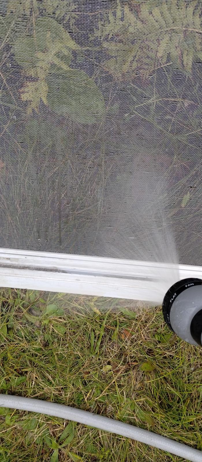 another window screen