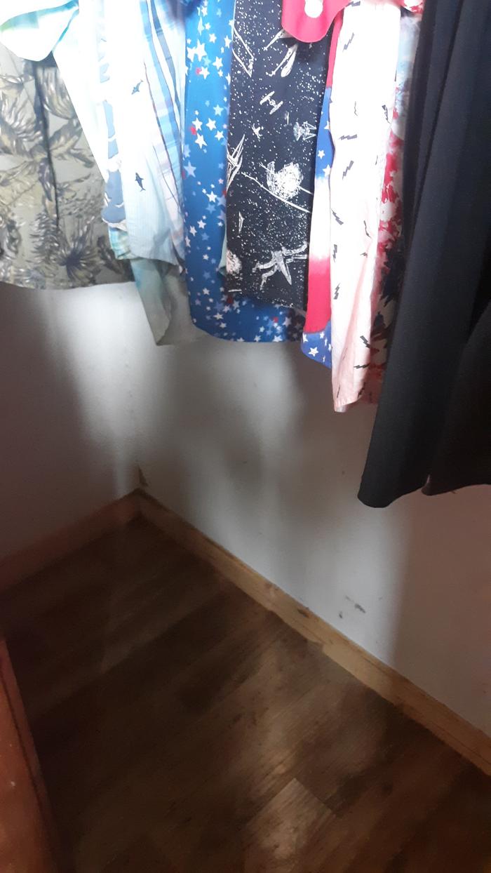 Junk removed 