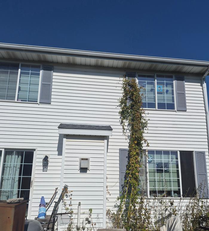 Back of house before